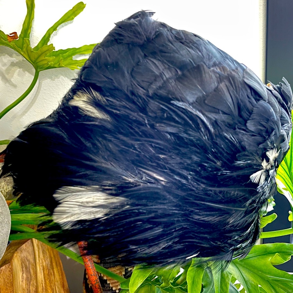 Gorgeous vintage black/white feather hat Unionmade
